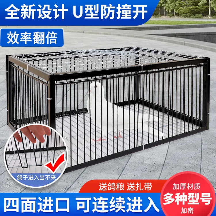 【黑色隐蔽款】加密新款2cm天落笼，家用养殖自动撞门家鸽子回收笼