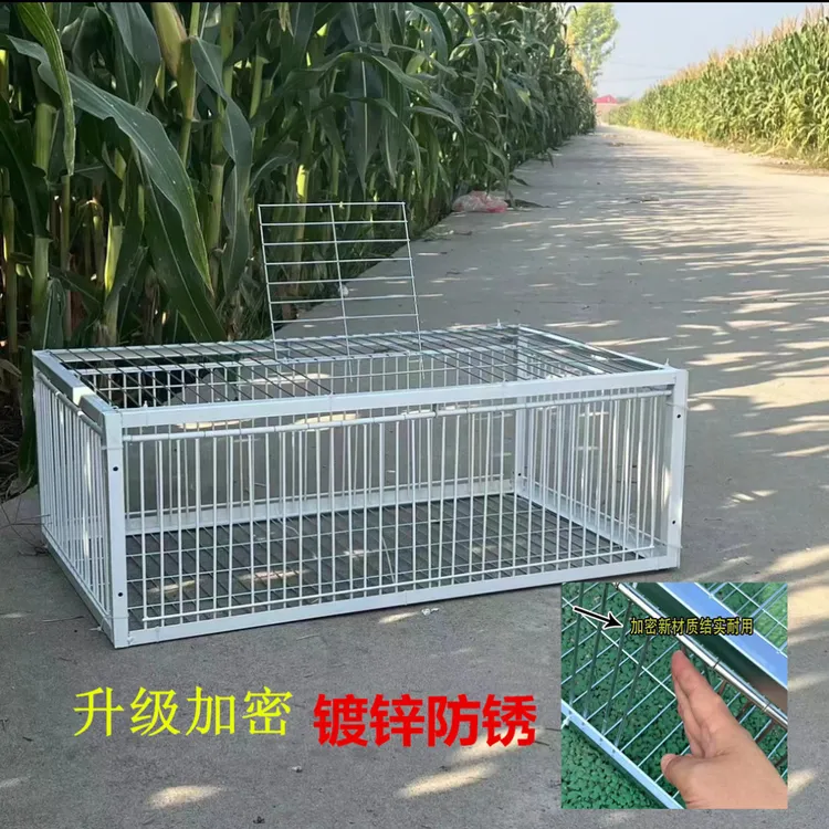 【大头户外甄选】新款加密2cm天落笼，家用养殖自动撞门家鸽子回收笼