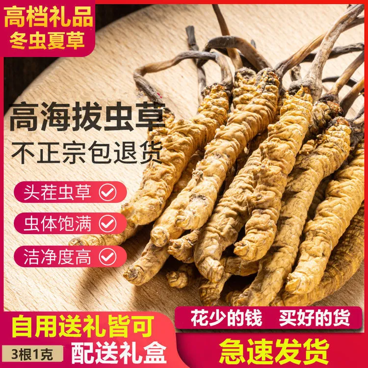 冬虫夏草冬虫草 虫草王虫草正宗精选虫草礼盒装 