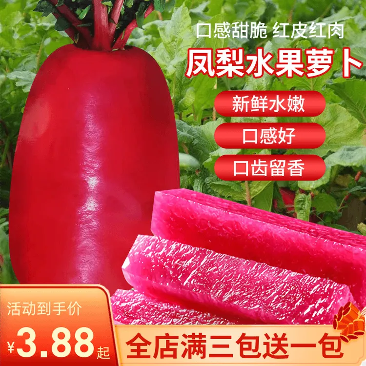 凤梨水果萝卜种子红皮红肉种籽四季甜脆萝卜蔬菜种子紫美人红萝卜