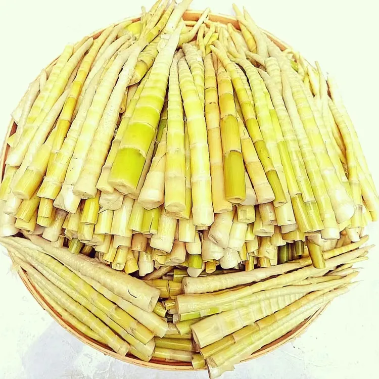 北川特产羌山高山小笋子