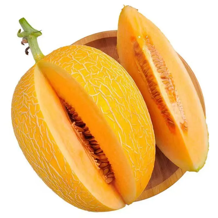 L至爱黄金 哈密瓜 新鲜水果 现摘现发脆甜多汁甜瓜蜜瓜西瓜