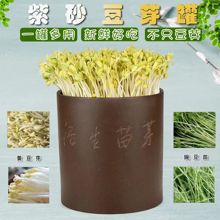 宜兴紫砂豆芽桶豆芽机芽苗罐育苗神器发芽制作简单