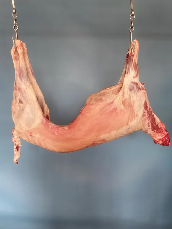 坝上草原羊肉-现场称斤-专属定制（商品以实际展示为准）500g起