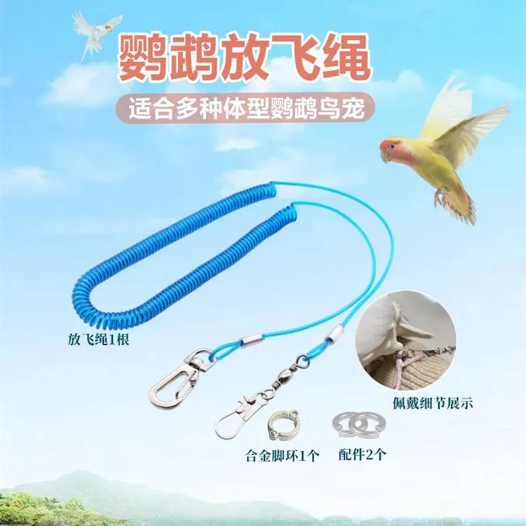 鹦鹉放飞绳不伤脚超轻训练绳虎皮牡丹玄凤八哥脚环脚链遛鸟飞行绳
