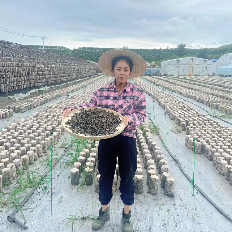 （玲玲推荐）东北黑木耳1斤装肉厚无根软糯Q弹