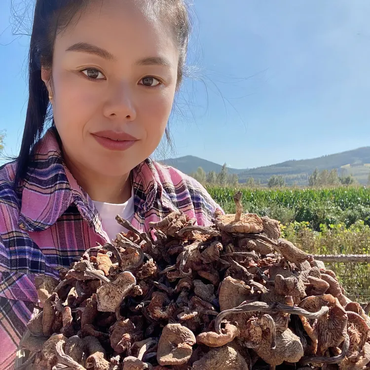 东北干货野生榛蘑