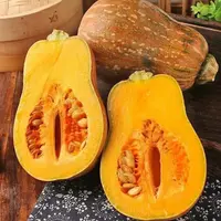 【陈会长严选】2025尝鲜价南阳北瓜粉糯香甜4.5--5斤