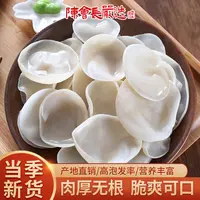 「陈会长严选」东北白玉木耳200g嫩滑爽口营养健康炖汤厚实白木耳
