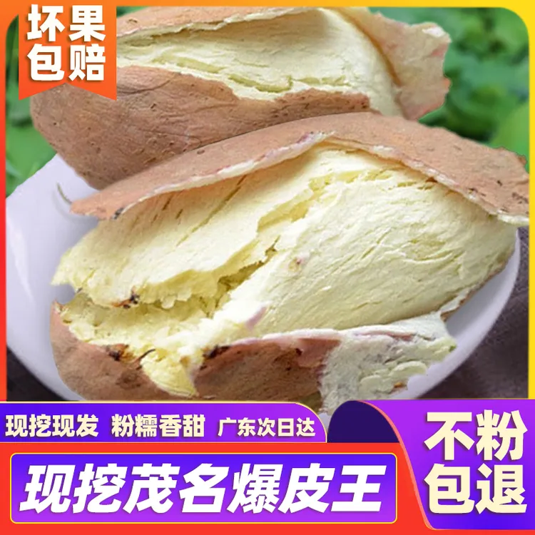 高州茂名特产板栗沙地爆皮王番薯粉糯香甜白心地瓜红薯5/10斤现挖