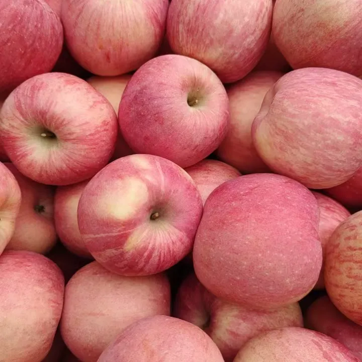 正宗条红红富士，皮薄脆甜多汁