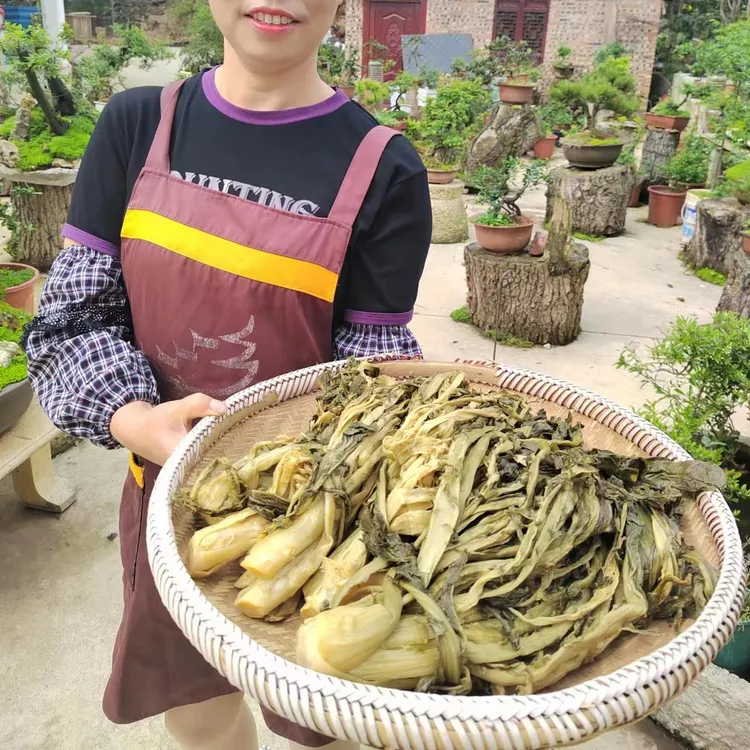 湿盐菜不干坛子现取现发农家自制盐菜下饭炒菜传统食用3斤
