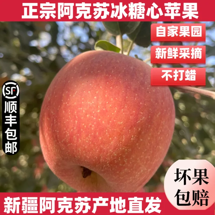 【顺丰上门】新疆阿克苏冰糖心苹果 红旗坡产地直发 自家果园丑苹果