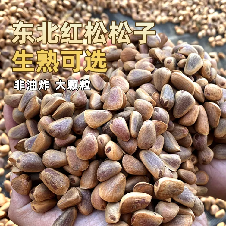 东北红松松子开口大松子原味2025新货非油炸鲜松子大颗粒
