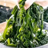 【拍3斤送2斤】大连当季盐渍裙带菜(5斤含箱）涮煮凉拌 鲜嫩爽滑美味