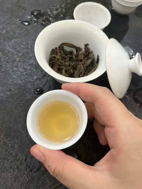 【东方红】2025古树宋种炭焙茶香浓霸气有肉回甘强-高山老枞“特韵”