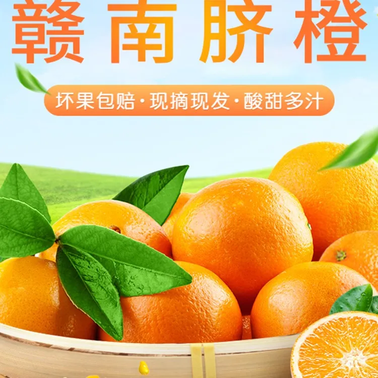 正宗江西赣南脐橙现货现发水果新鲜采摘包邮坏果包赔皮薄多汁香甜