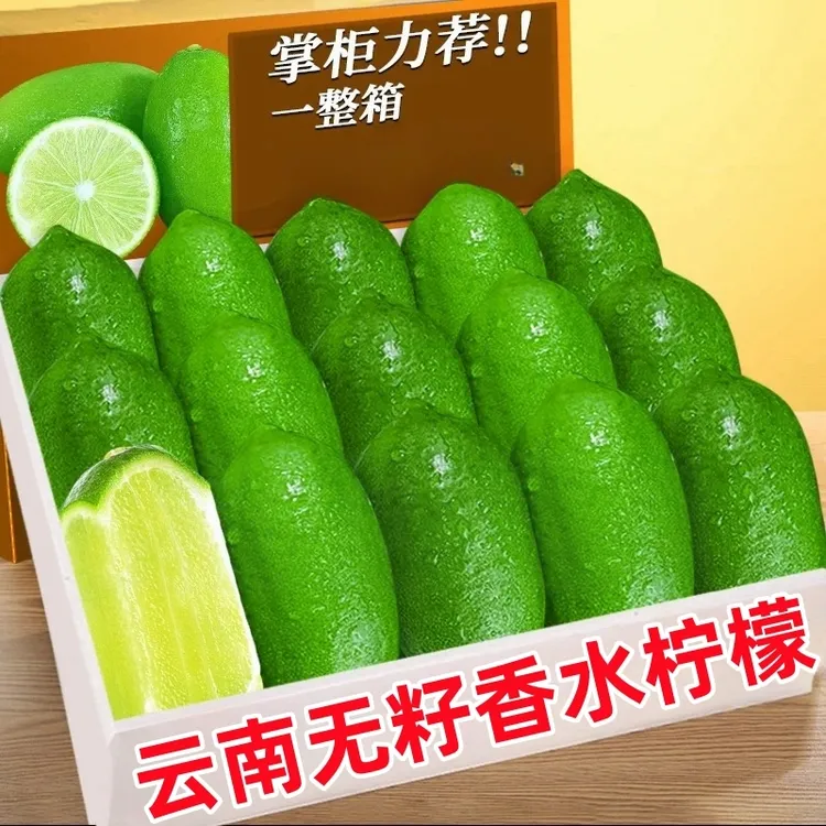 云南无籽香水柠檬新鲜青柠檬手打柠檬奶茶柠檬应季水果泡水柠檬