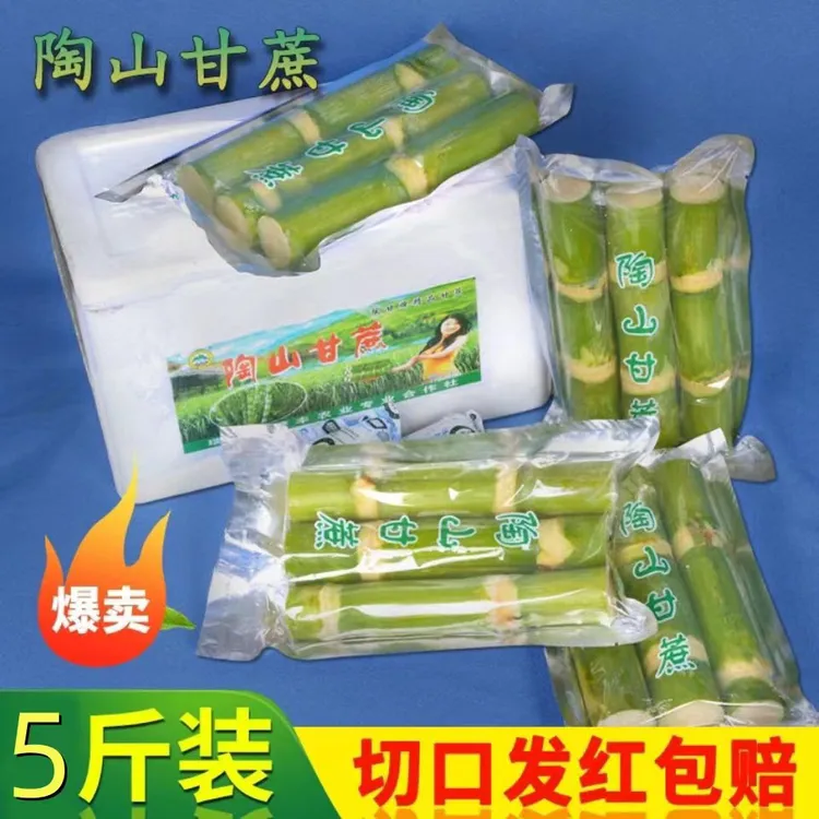 【顺丰快递】【真空包装 】陶山甘蔗可手撕青皮甘蔗脆甜爽口 精品5斤
