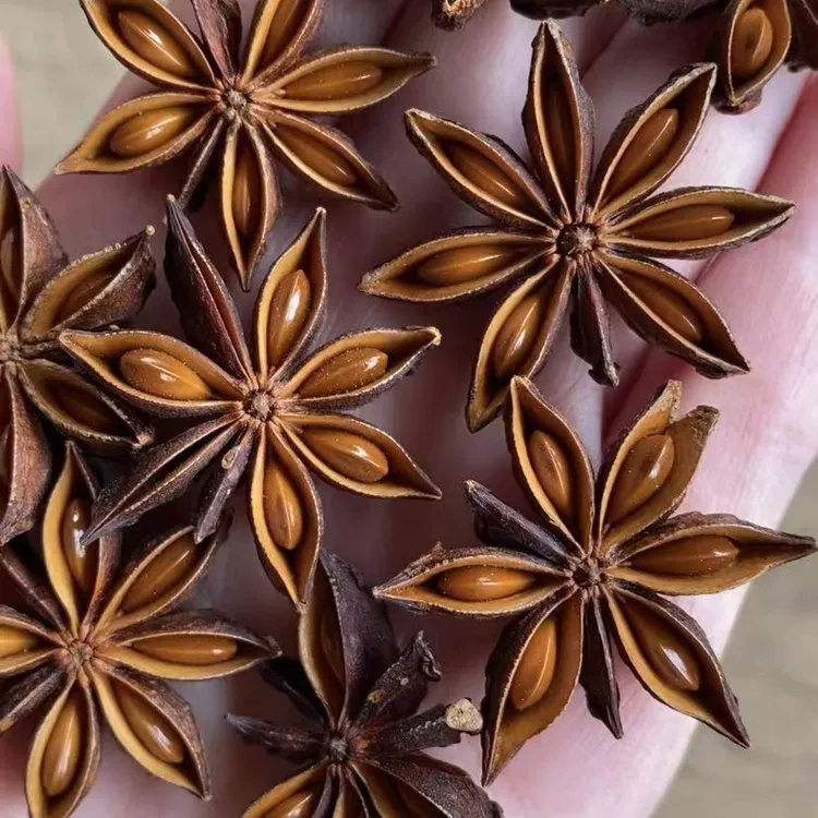 【全干八角大料】广西秋收大红八角足干无硫香料调味卤料火锅100克