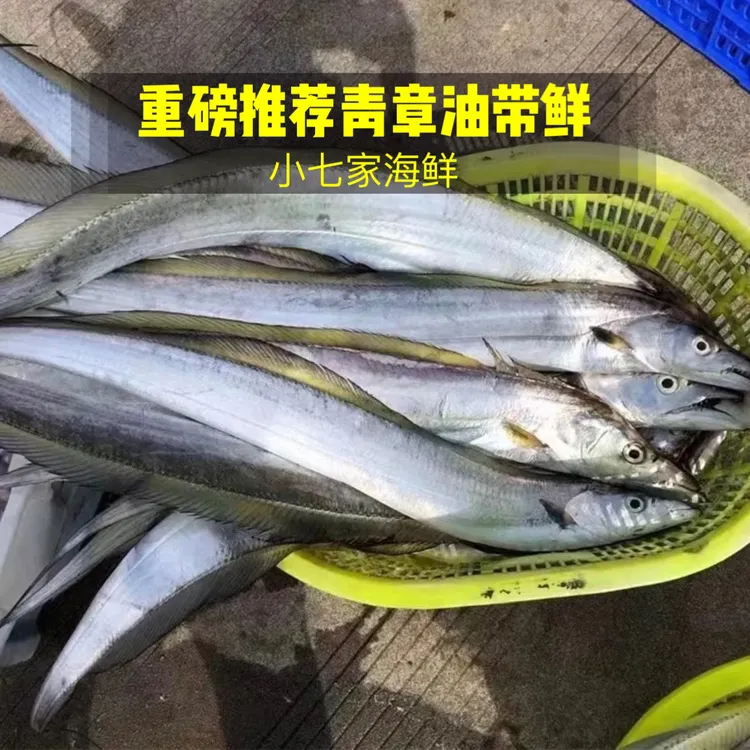 新鲜到港【青章油带鱼】鲜度高 好吃不贵