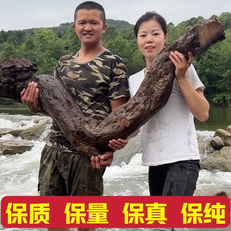 小唐【柴葛根粉】 传统工艺  无任何添加 冲泡食用