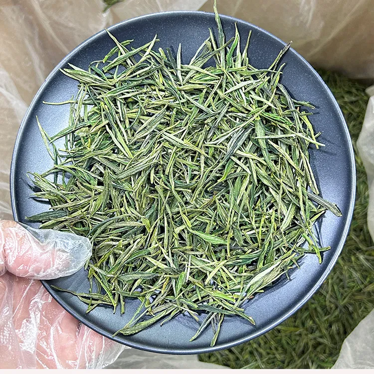 沐峤2024新茶Y160安徽黄芽250/500克野茶香浓郁土种茶叶