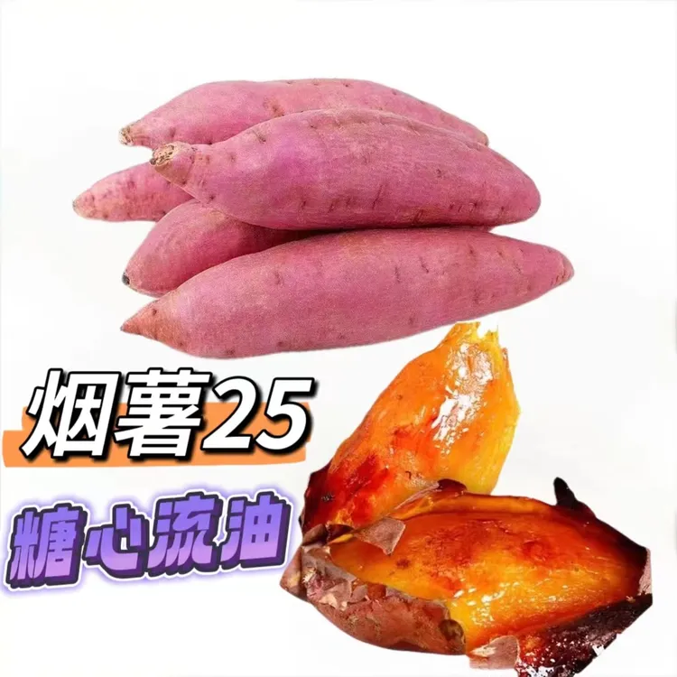【现货速发】山东烟台烟薯25糖心流油蜜薯红薯烤地瓜番薯5斤10斤装