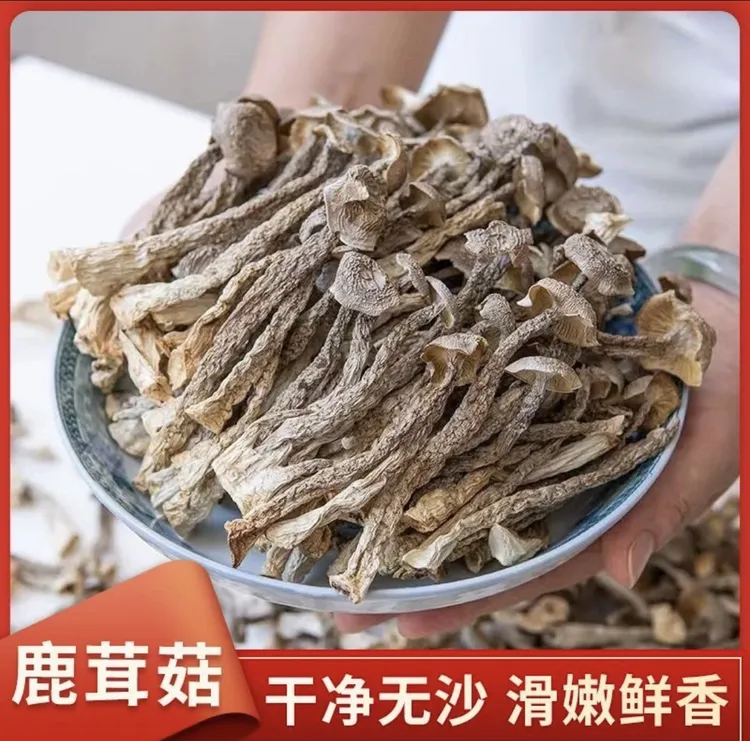 【鹿茸菇】脆脆菇无硫干货炒菜炖煲汤鲜美炒腊肉美味炖汤美味食用菌