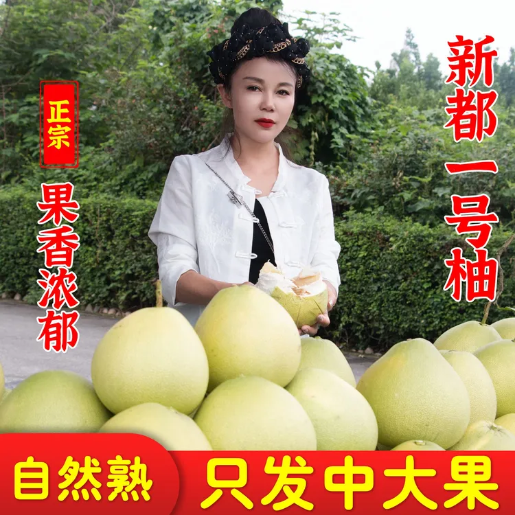 正宗新鲜香甜清甜柚子蜜柚送礼必备礼盒装 四个装应季水果