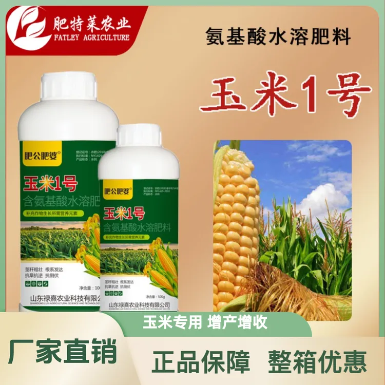玉米一号增产增收玉米种植籽粒饱满抗倒伏棒大籽大高产专用叶面肥