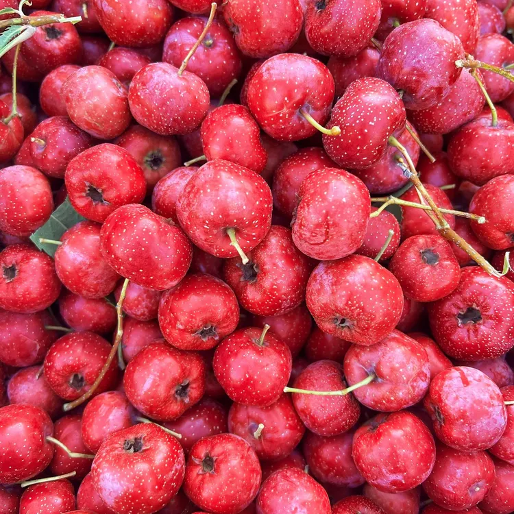 【年终大促】水果山楂甜红子山楂鲜果口感绵绵沙沙京东包邮