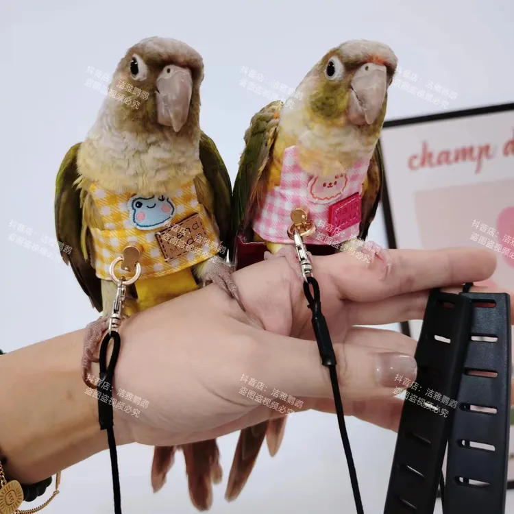 宠物鹦鹉鸟超轻背带背心外出牵引衣服防止飞丢飞行服