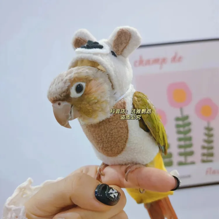 小型宠物玄凤鹦鹉鸟衣服冬季加绒加厚保暖卫衣飞行棉服小熊造型