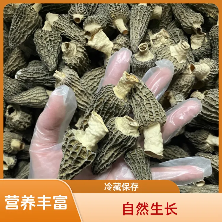 羊肚菌干货羊肚菌产地直销羊肚菌营养丰富菌菇