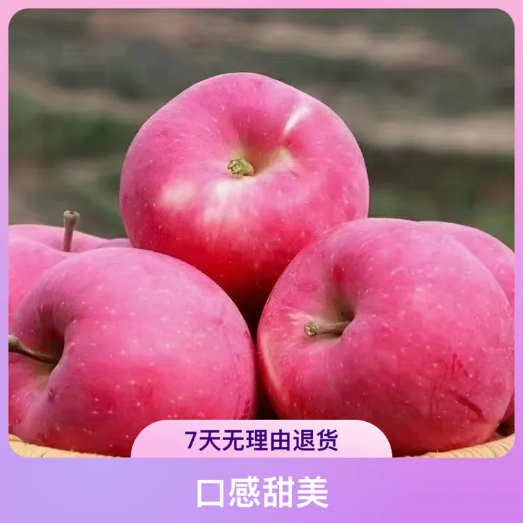 甘肃天水秦安县红富士甘肃红富士苹果天水富士苹果