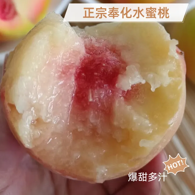 正宗奉化水蜜桃湖景玉露当天采摘新鲜水果宁波特产甜蜜