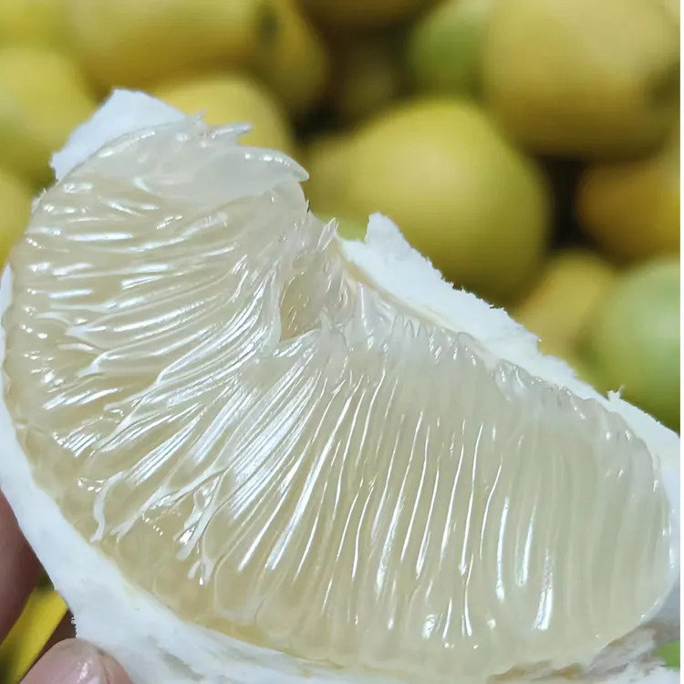 湘西武陵源金香柚