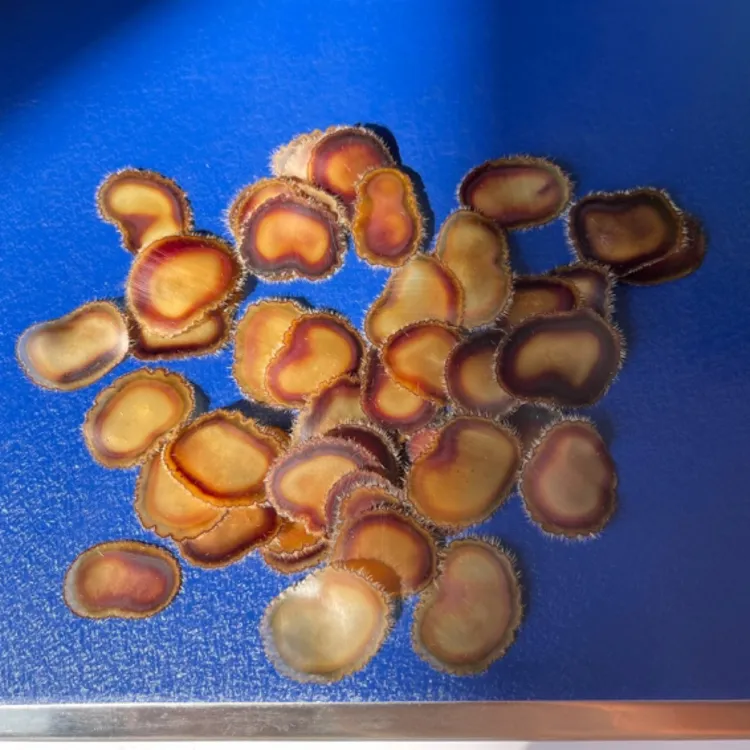 【双阳鹿乡】 足干《全蜡片》净含量10g 泡水泡茶泡酒煲汤滋补炖肉