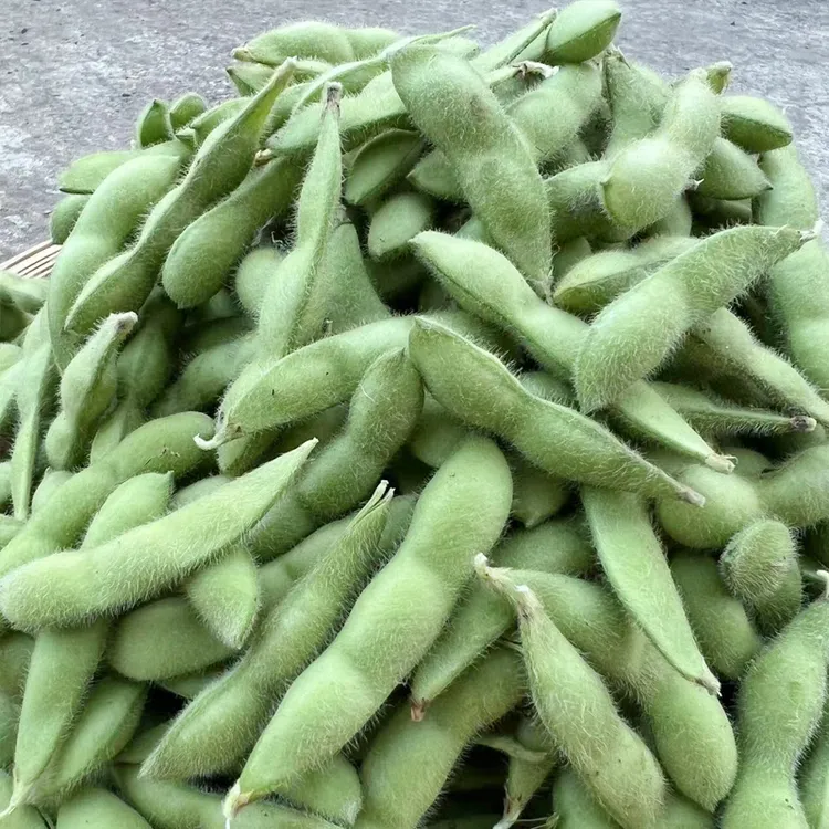 3斤带壳毛豆新鲜湖北荆州农家自种现摘现发当季嫩毛豆黄豆保鲜