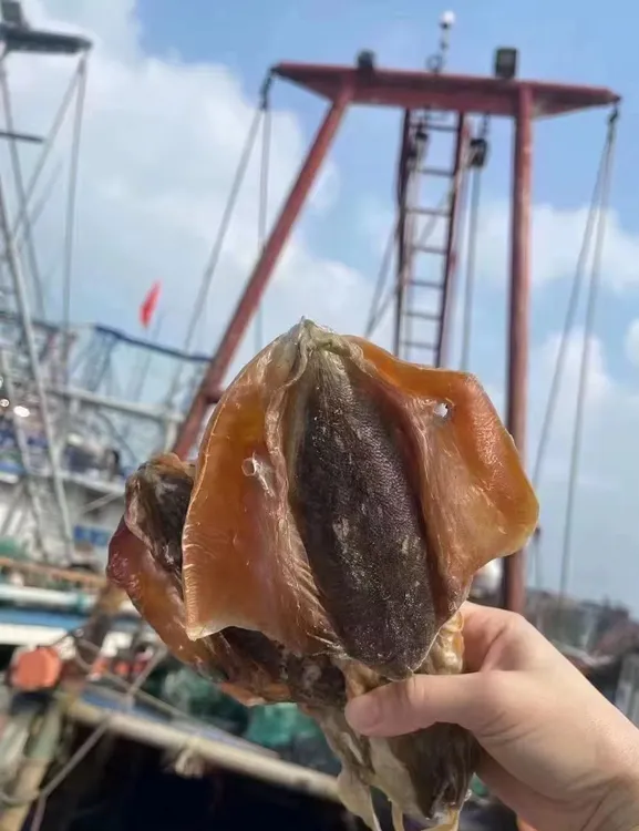 广西北海船晒血墨鱼干淡干无盐鲜活吊晒煲汤鲜合适孕妈小孩滋补