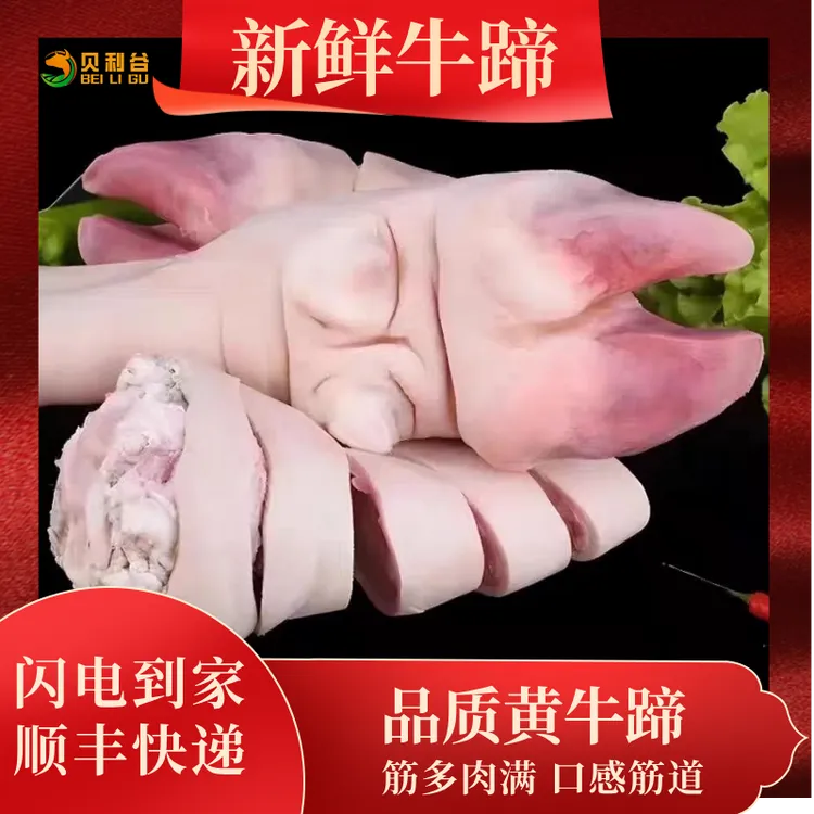 新鲜黄牛蹄整只批发商用带皮带骨牛掌切割去毛带筋顺丰发货