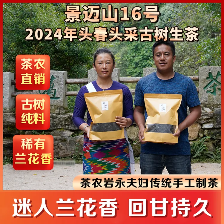 【景迈山16号古树生茶】茶农岩永夫妇直销 传统手工制茶 好喝不贵