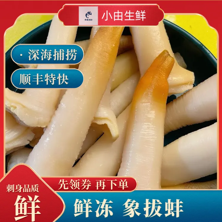 (小由生鲜)中秋送礼鲜冻象拔蚌呛拌象拔蚌象拔蚌刺身品质顺丰特快