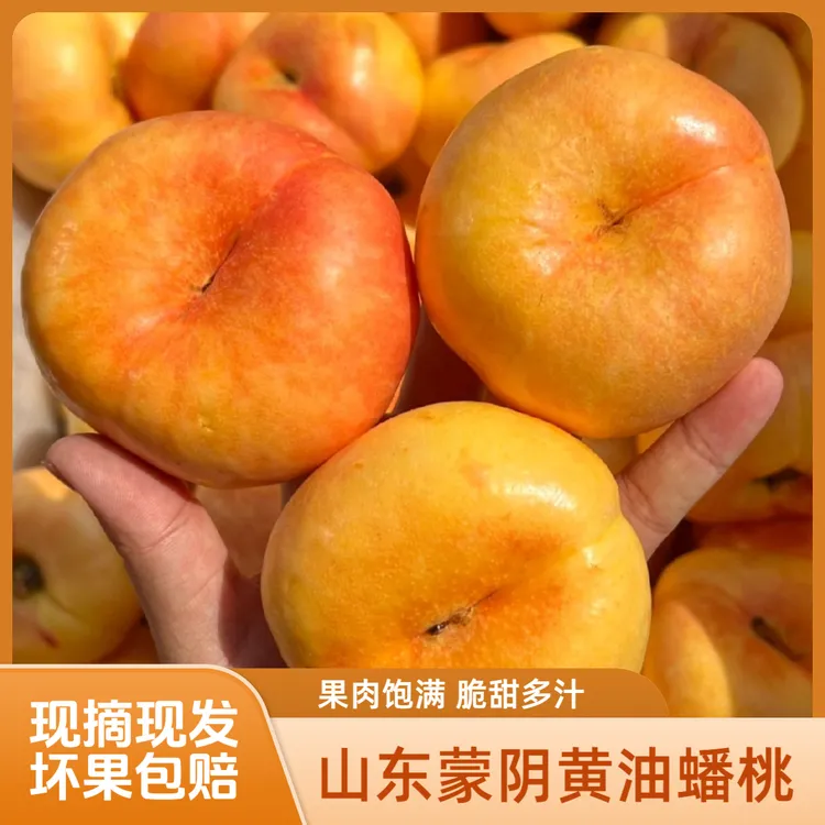 【小周同学专属】蒙阴黄油蟠桃正宗7-7油蟠桃多汁香甜现摘爆汁黄桃