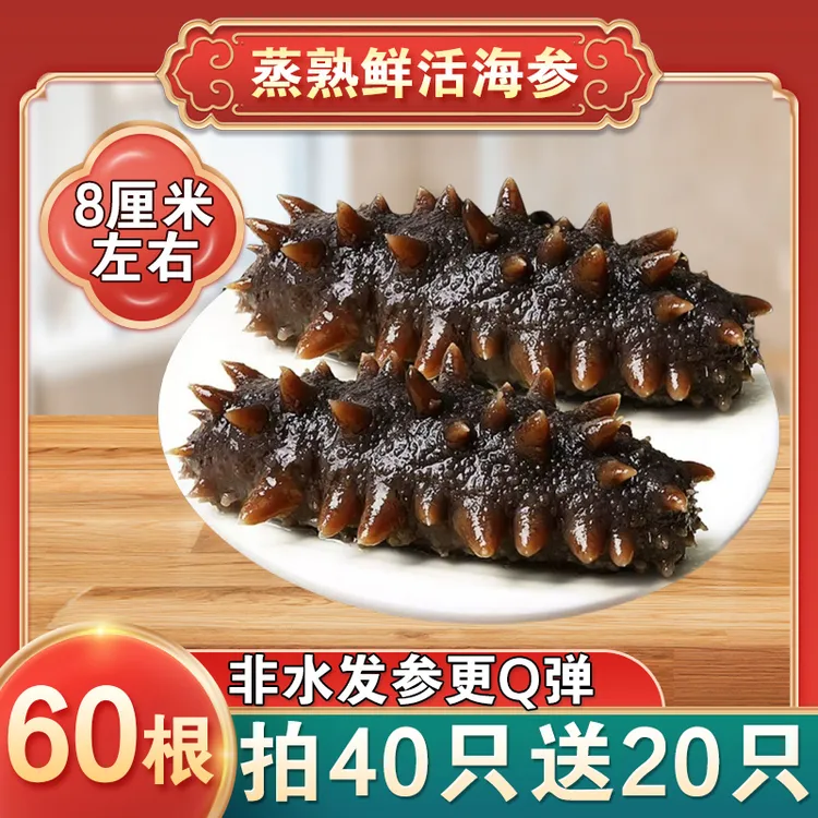 【亿鲜笙】鲜蒸海参买40头送20头1500g左右 非水发20只/盒 7-8厘米