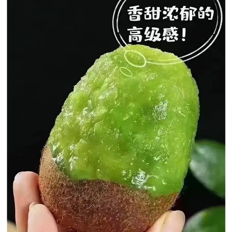 陕西翠香猕猴桃产地现摘现发香甜多汁（60-80g）６枚９枚试吃放软即食