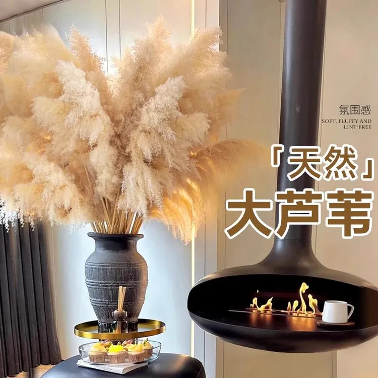天然芦苇干花花束大蒲苇客厅风干装饰落地摆件永生花