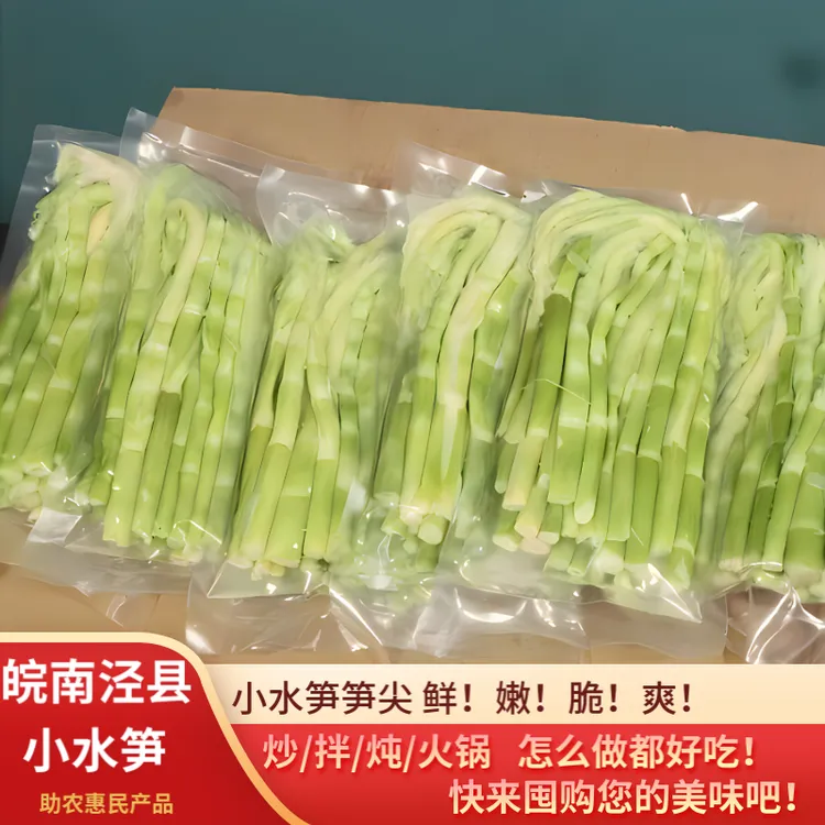 皖南新鲜小竹笋新鲜嫩笋尖/春笋水竹笋笋尖新鲜嫩笋尖/竹笋炒肉