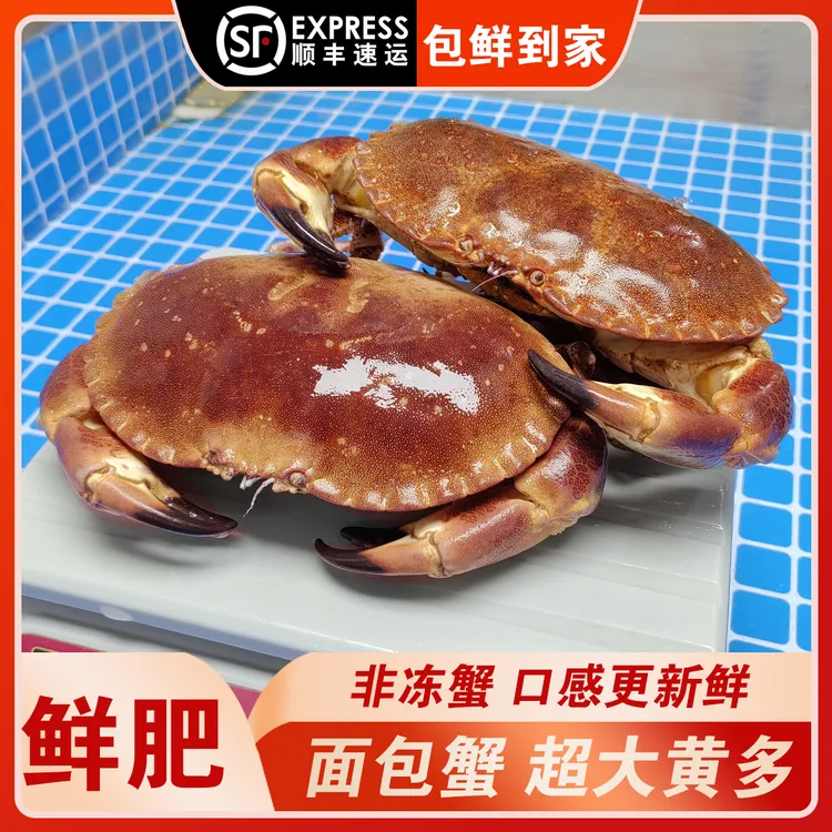【包活到家，当面验货】面包蟹母鲜活大螃蟹海蟹新鲜海鲜水产蟹黄多